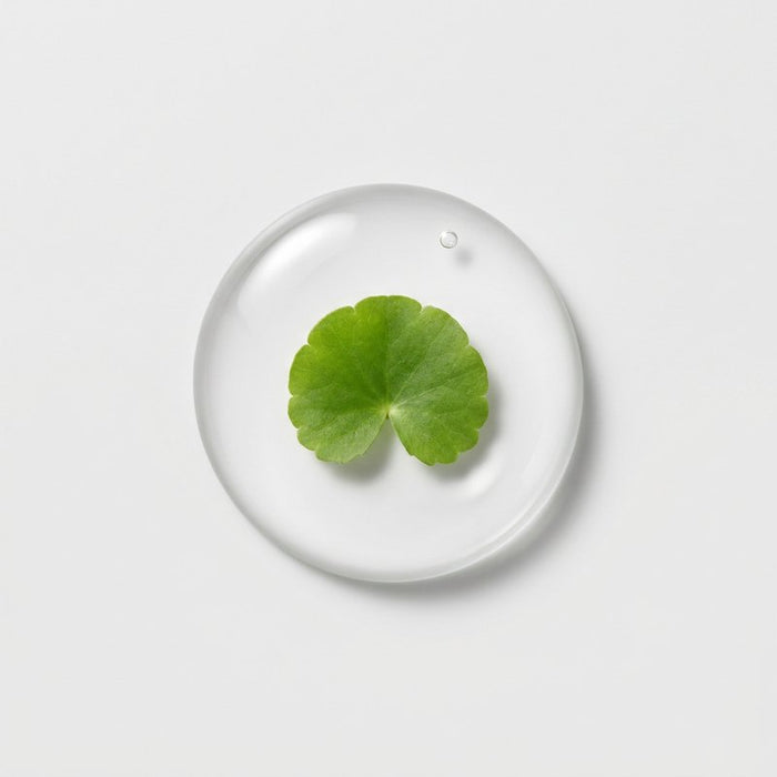 Centella Asiatica in a drop of serum